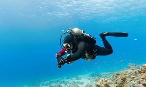 Tauchen in Hurghada: Tauchausfahrten - Schnuppertauchen - Tauchen für Wiedereinsteiger