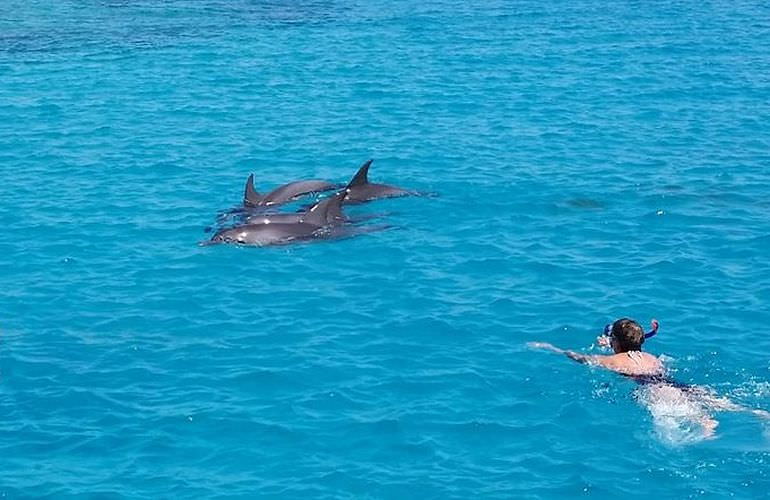 Erschwingliche Hurghada Bootscharter für jede Aktivität  