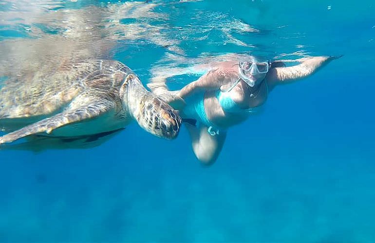 Ausflug zum Schnorcheln mit Schildkröten von Hurghada aus