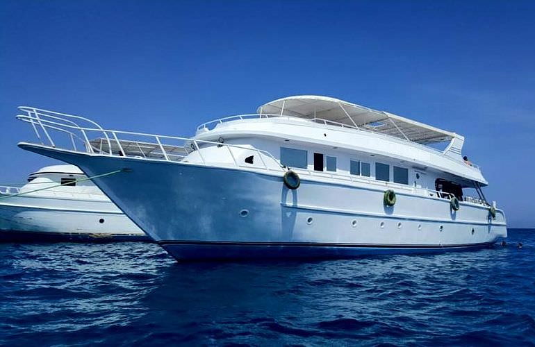 Private Delfin Tour in Hurghada- Privater Bootsausflug zum Schnorcheln