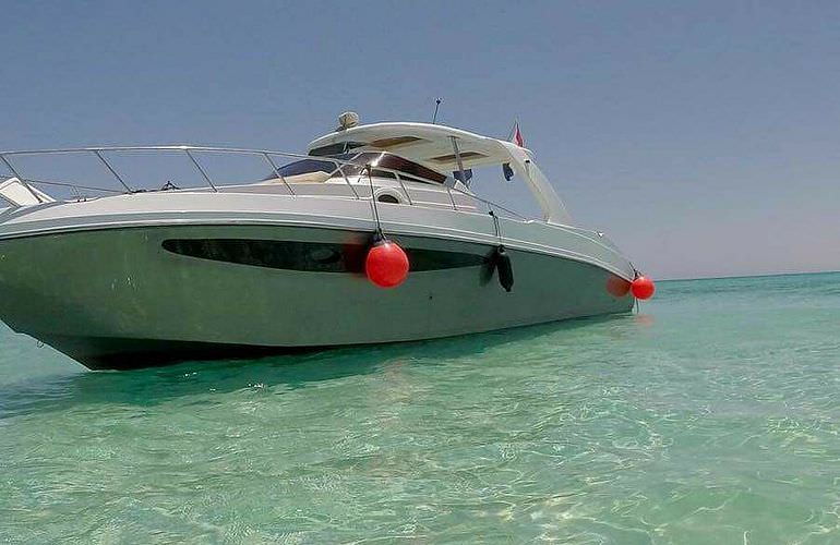 Hurghada: Privater Ausflug zu den Delfinen mit dem Speedboot