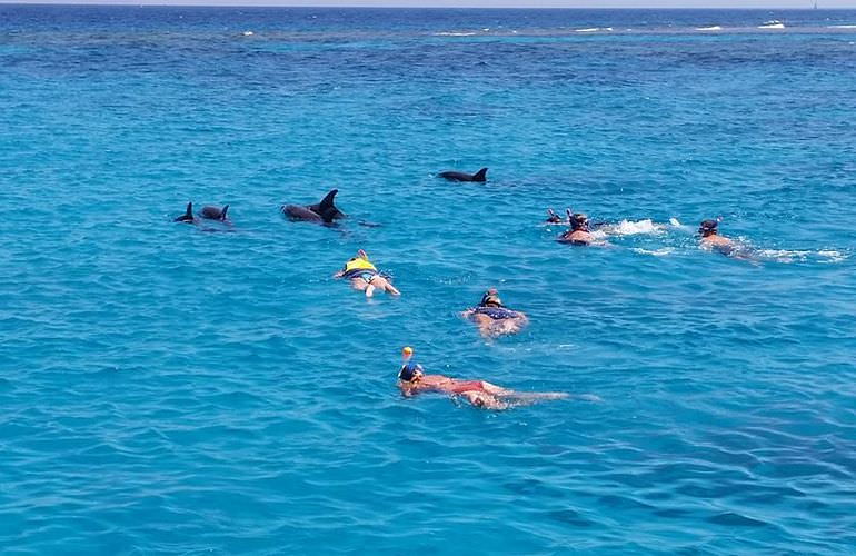 Private Delfin Tour in Hurghada- Privater Bootsausflug zum Schnorcheln