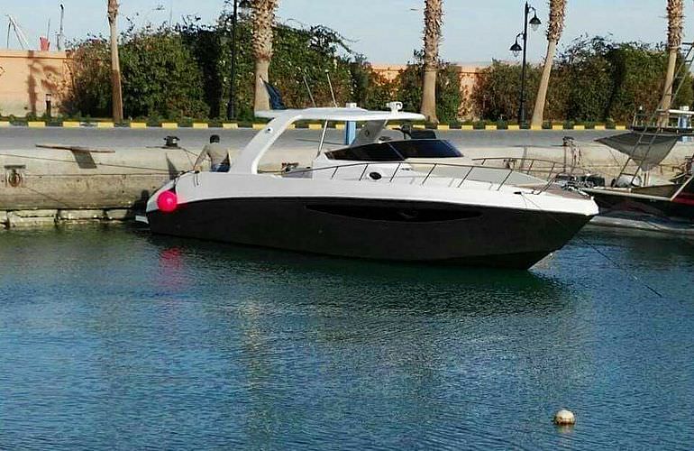 Hurghada: Privater Ausflug zu den Delfinen mit dem Speedboot