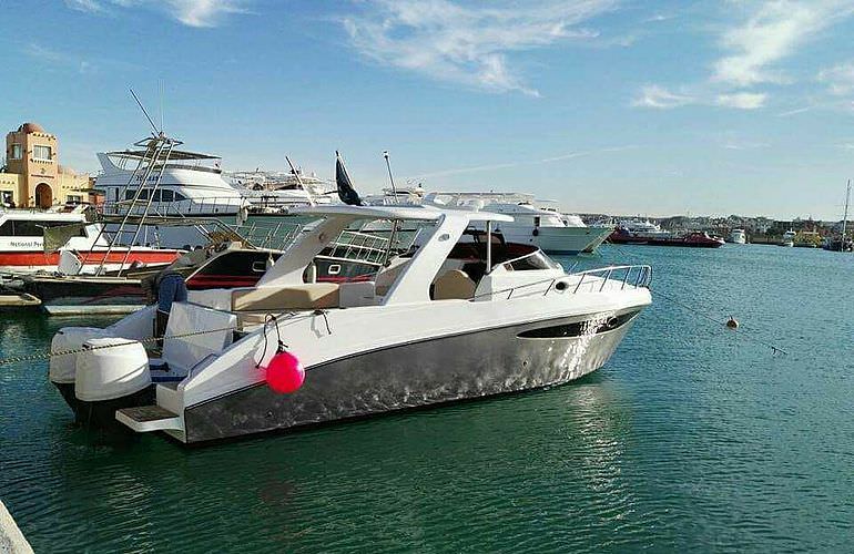 Hurghada: Privater Ausflug zu den Delfinen mit dem Speedboot