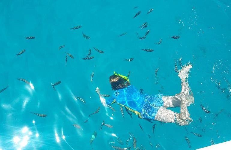 Giftun Insel Hurghada: Ausflug mit dem Boot zur Giftun Insel