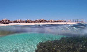 Inselträume: Paradies Insel im Roten Meer mit Karibik-Feeling                                                