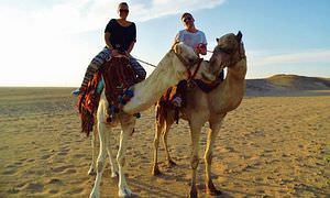 Kamelreiten in Hurghada: Am Strand oder in der Wüste 