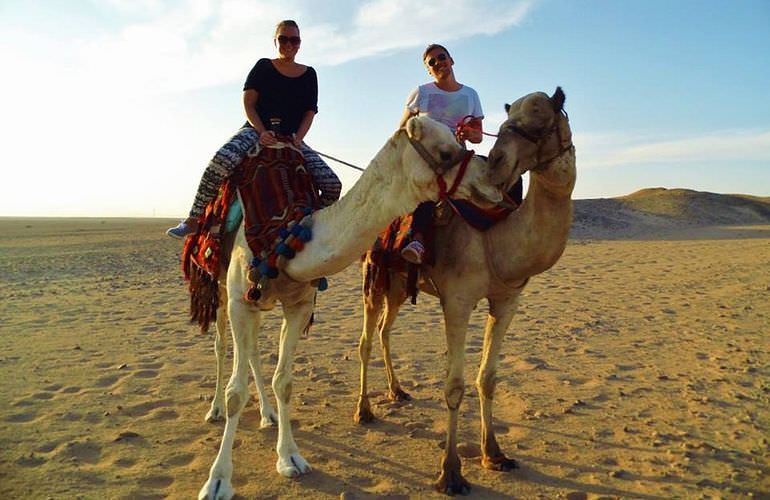 Kamelreiten in Hurghada: Am Strand oder in der Wüste 