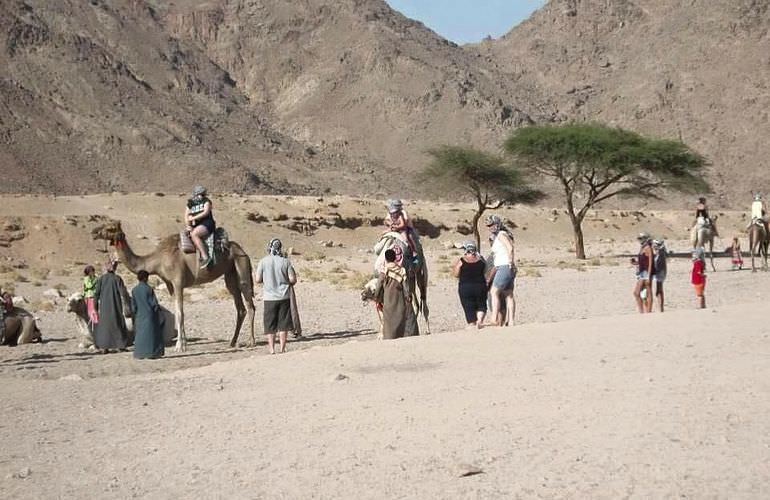 Wüstenabenteuer-Kombitour: Quad, Jeep, Buggy und Kamelreiten