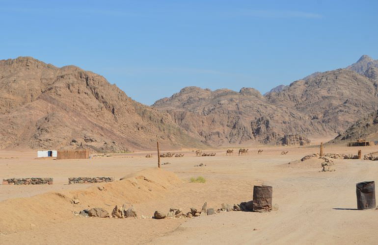 Oase Wüstensafari ab Hurghada: Quad Tour, Jeep Fahren, Spider Auto, Beduinen und Kamelreiten