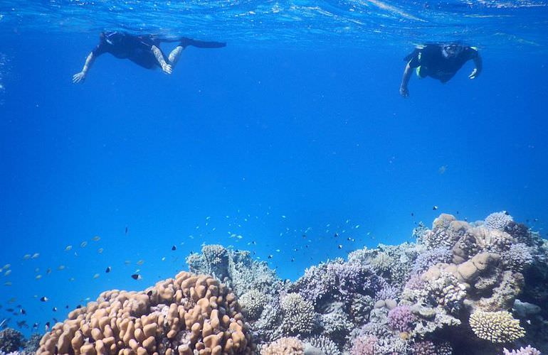 Tagesausflug mit dem Boot zur Orange Bay Insel in Hurghada 