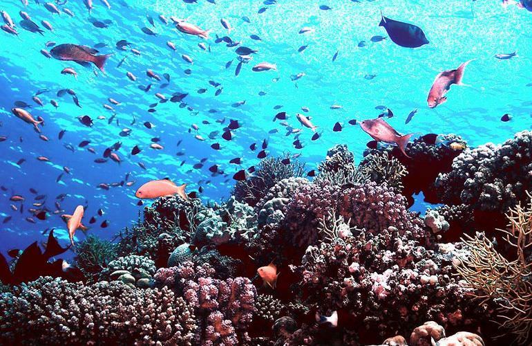 Ausflug mit dem Boot zur Paradies Insel in Hurghada