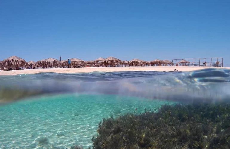 Inselträume: Paradies Insel im Roten Meer mit Karibik-Feeling                                                