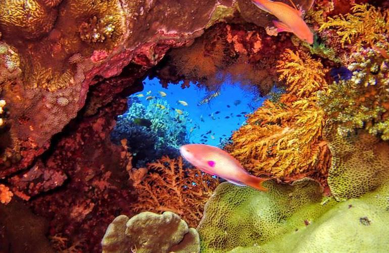 Ausflug mit dem Boot zur Paradies Insel in Hurghada