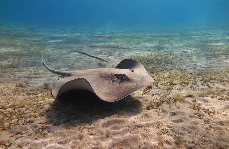 Ausflug mit dem Boot zur Paradies Insel in Hurghada