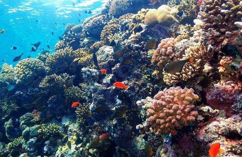 Ausflug mit dem Boot zur Paradies Insel in Hurghada