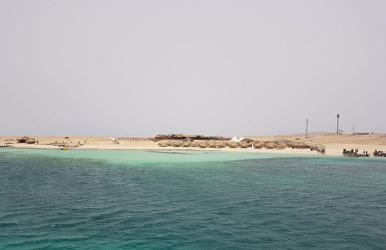 Inselträume: Paradies Insel im Roten Meer mit Karibik-Feeling                                                