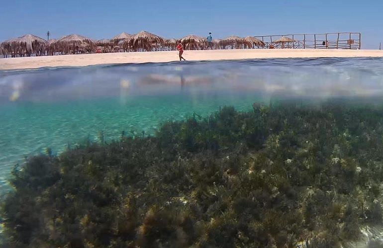 Ausflug mit dem Boot zur Paradies Insel in Hurghada