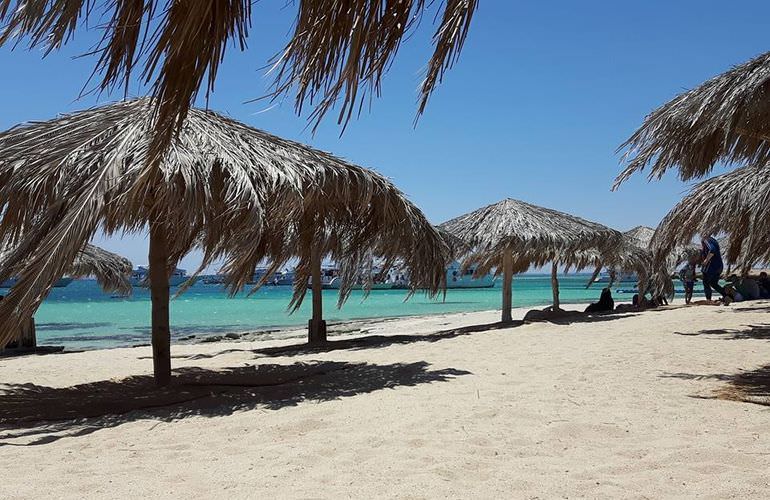 Inselträume: Paradies Insel im Roten Meer mit Karibik-Feeling                                                