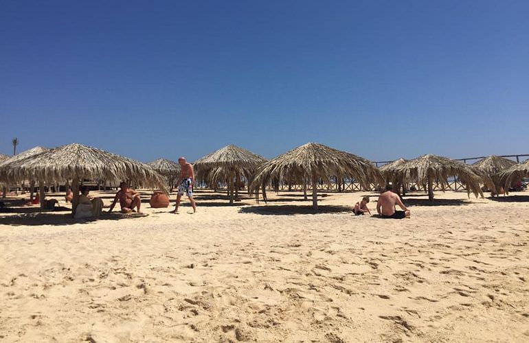 Inselträume: Paradies Insel im Roten Meer mit Karibik-Feeling                                                