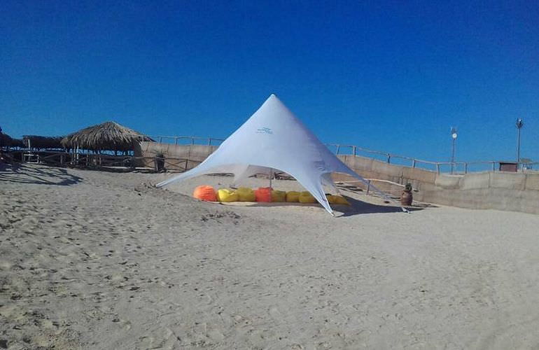 Inselträume: Paradies Insel im Roten Meer mit Karibik-Feeling                                                