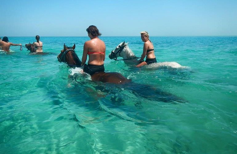 Pferde reiten und Kamelritt in Hurghada