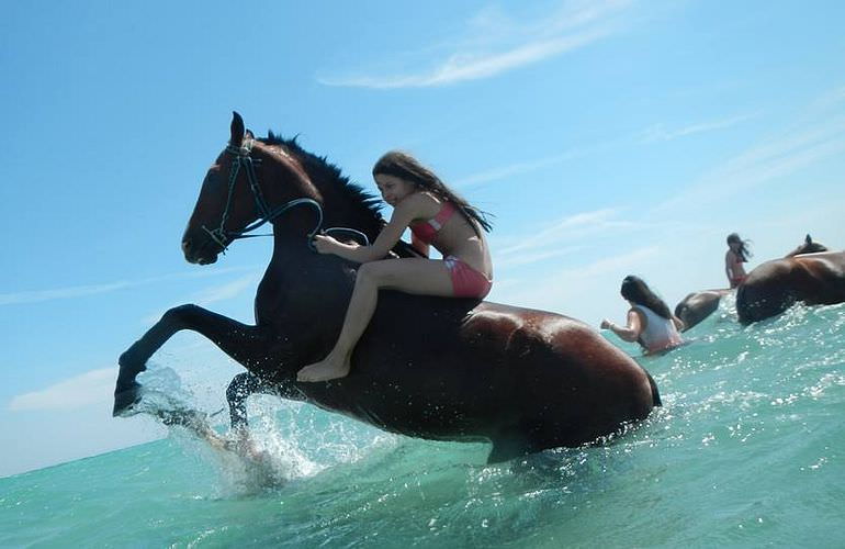 Pferde reiten und Kamelritt in Hurghada