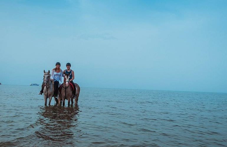 Pferde reiten und Kamelritt in Hurghada