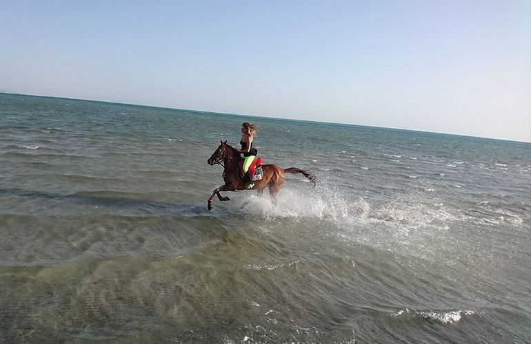 Pferde reiten und Kamelritt in Hurghada