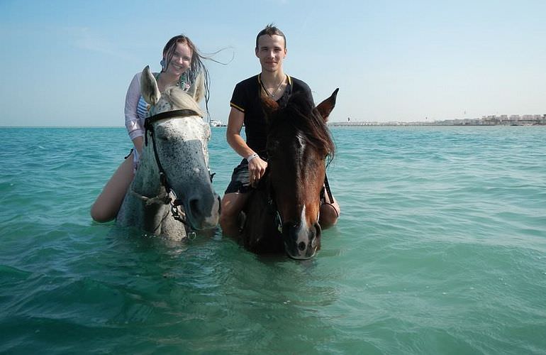 Pferde reiten und Kamelritt in Hurghada