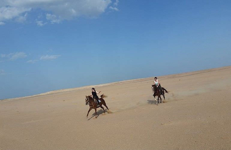 Pferde reiten und Kamelritt in Hurghada