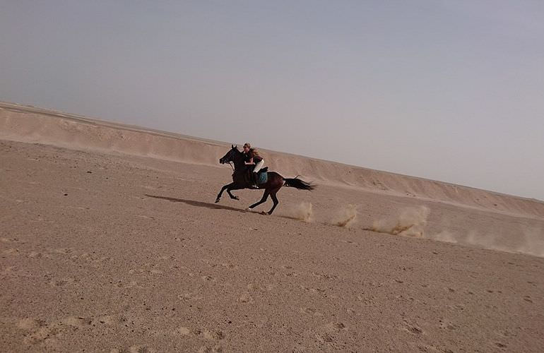 Pferde reiten und Kamelritt in Hurghada