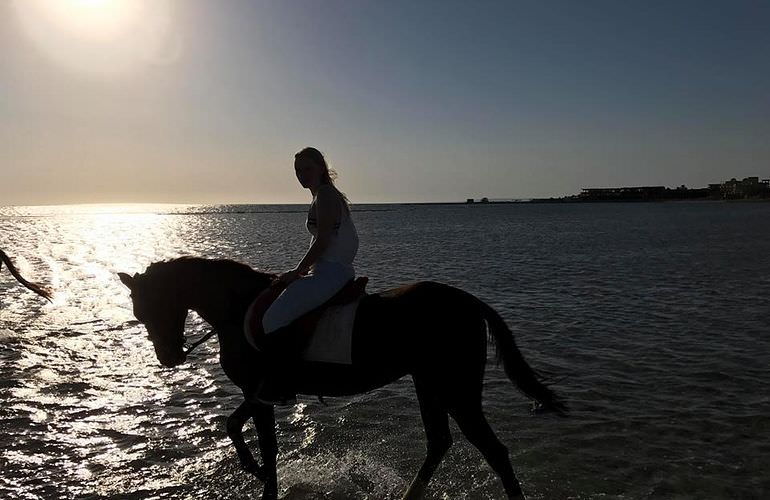 Pferde reiten und Kamelritt in Hurghada