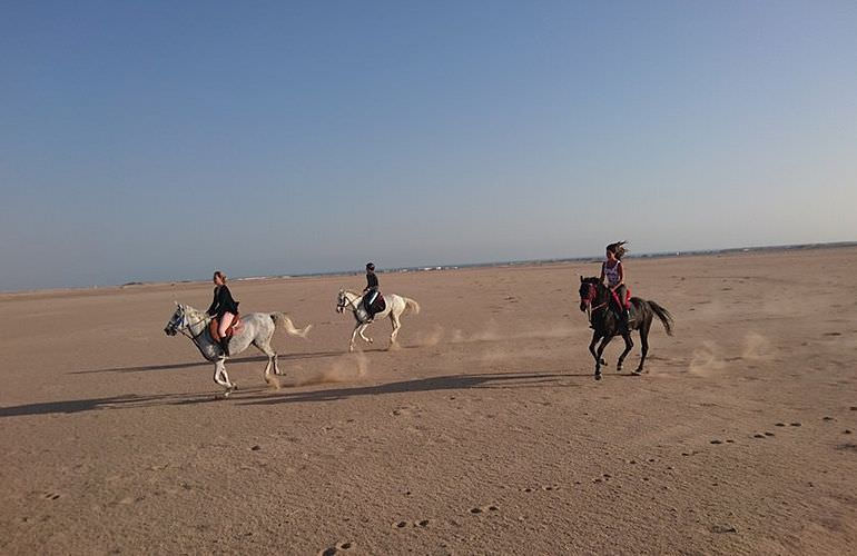 Pferde reiten und Kamelritt in Hurghada