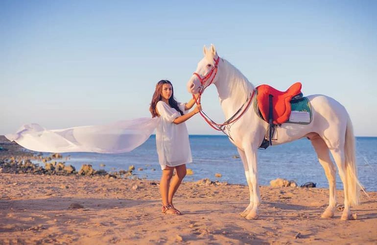 Pferde reiten und Kamelritt in Hurghada