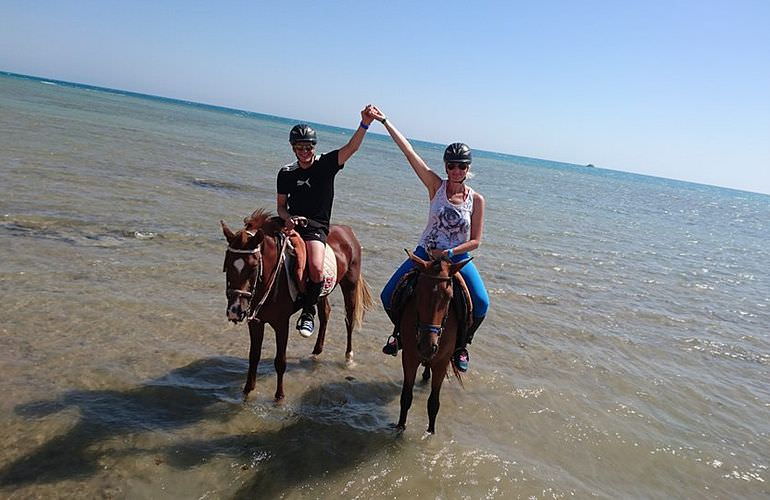 Pferde reiten und Kamelritt in Hurghada