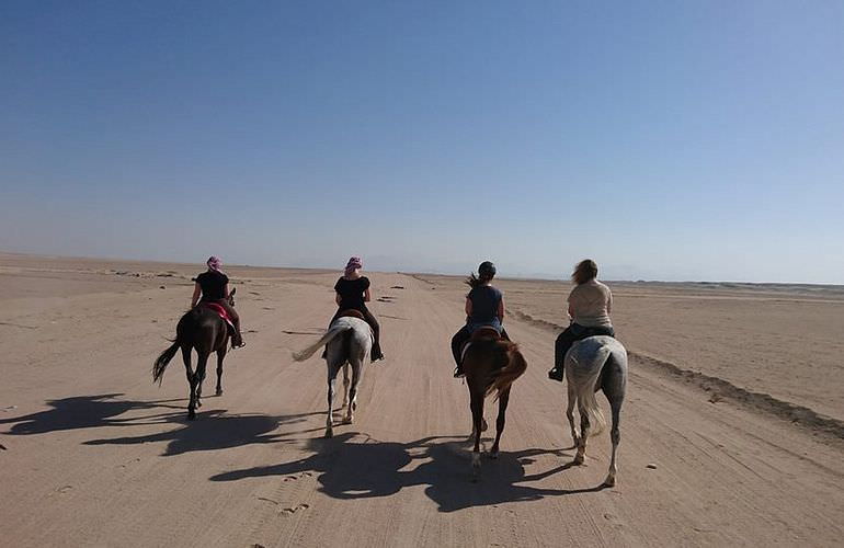 Pferde reiten und Kamelritt in Hurghada