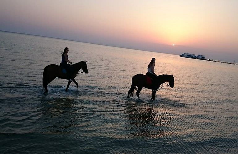 Pferde reiten und Kamelritt in Hurghada