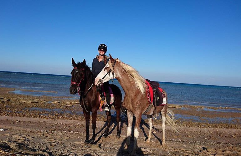 Pferde reiten und Kamelritt in Hurghada