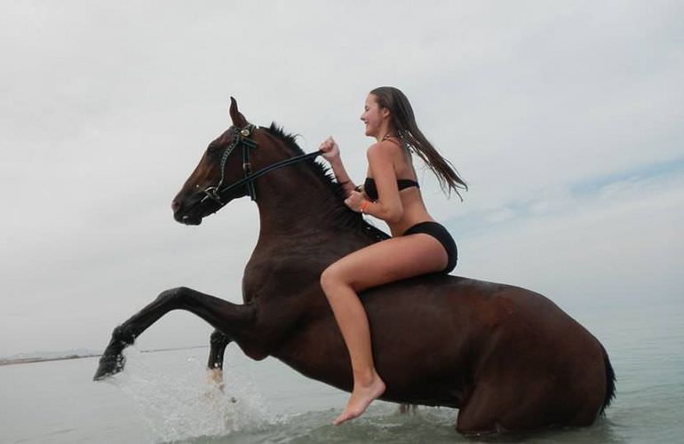 Pferde reiten und Kamelritt in Hurghada