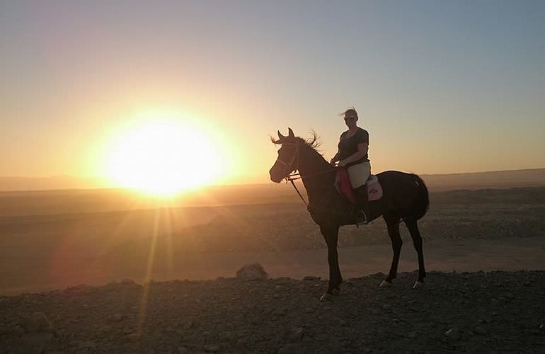 Pferde reiten und Kamelritt in Hurghada