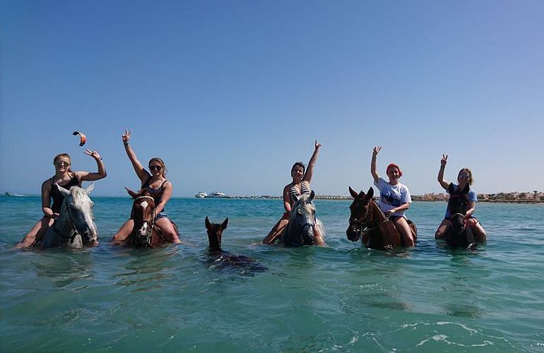 Pferde reiten und Kamelritt in Hurghada