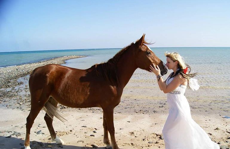 Pferde reiten und Kamelritt in Hurghada