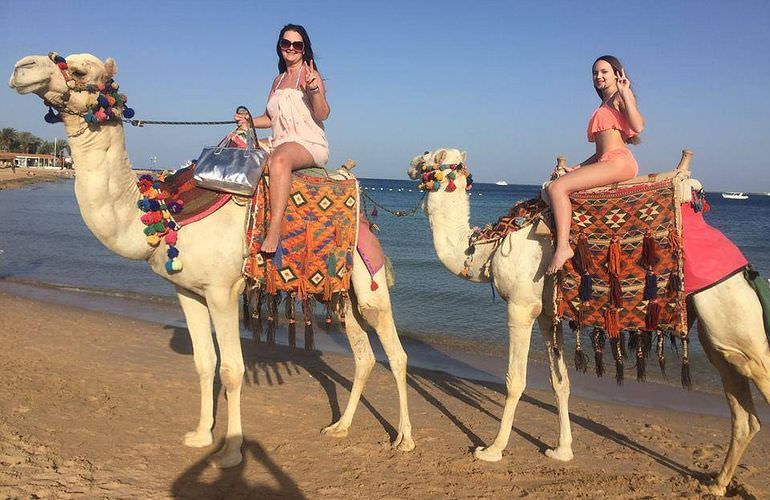 Pferde reiten und Kamelritt in Hurghada