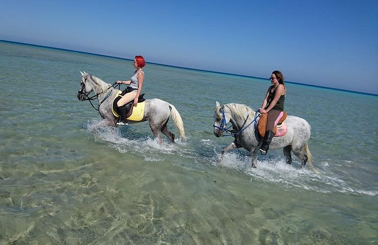 Pferde reiten und Kamelritt in Hurghada