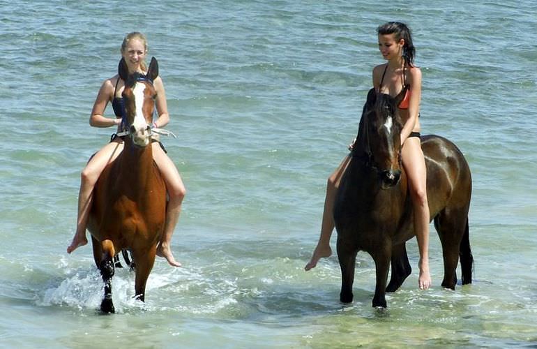 Pferde Reiten in Hurghada: Reiten am Strand oder in der Wüste