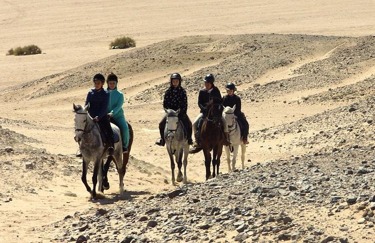 Pferde Reiten in Hurghada: Reiten am Strand oder in der Wüste