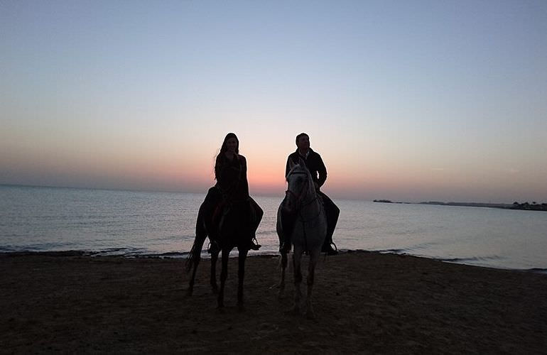 Pferde Reiten in Hurghada: Reiten am Strand oder in der Wüste