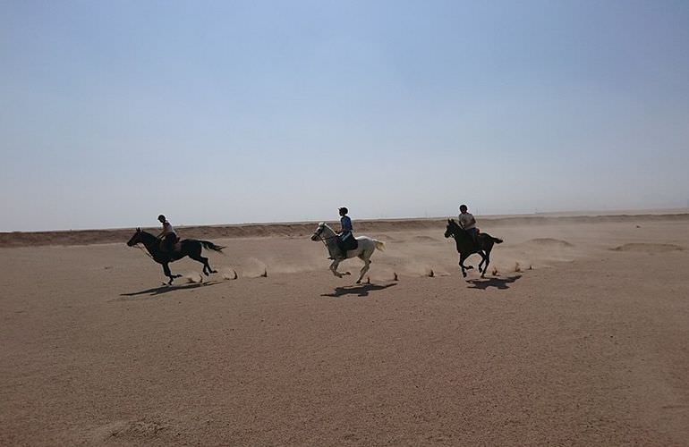 Pferde Reiten in Hurghada: Reiten am Strand oder in der Wüste