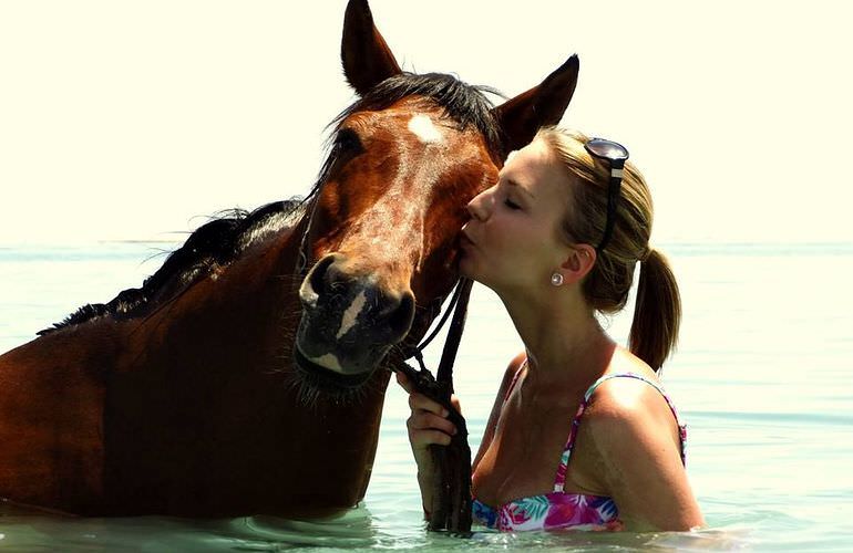 Pferde Reiten in Hurghada: Reiten am Strand oder in der Wüste